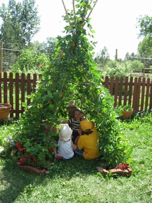 bean teepee diy outdoor solution backyard ideas