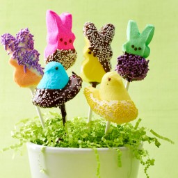 Creative fun peeps pops easter basket candy